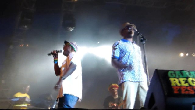 black roots (live) garance reggae festival 2014