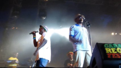 black roots (live) garance reggae festival 2014
