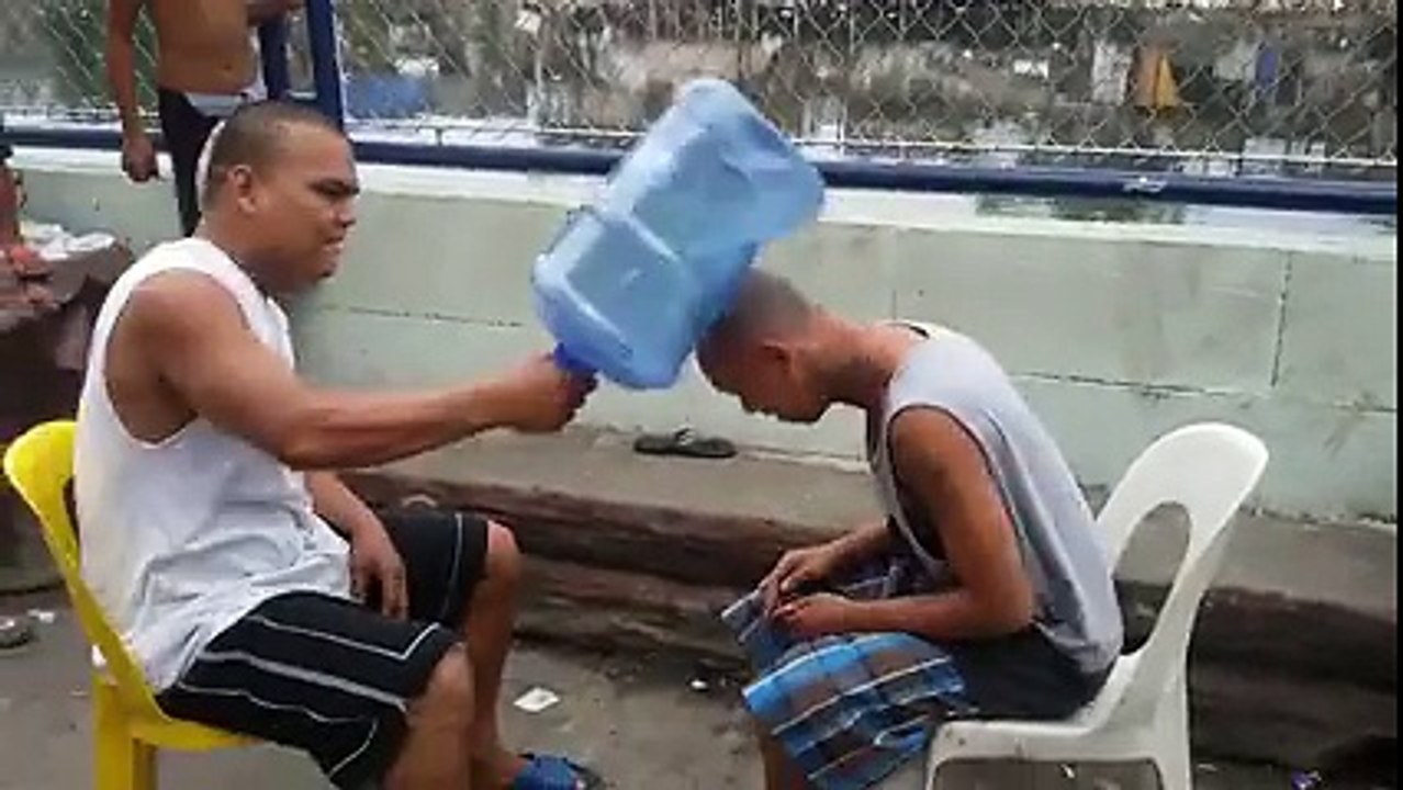 Head Bump Play with each other