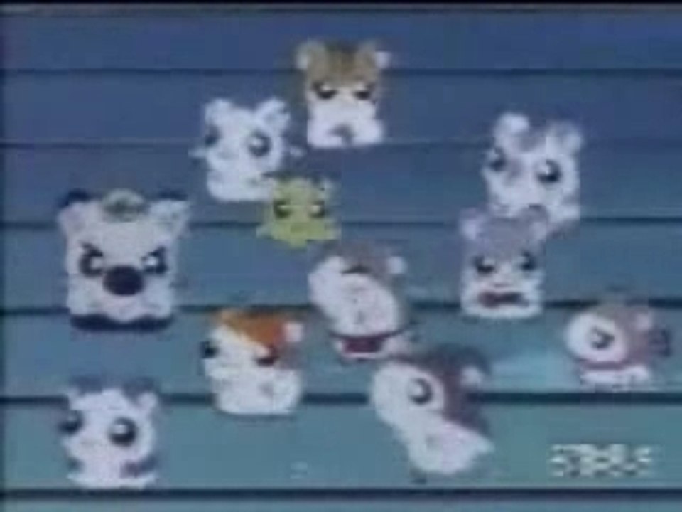 Hamster Dance