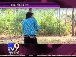 Dhollywood's Double Threats: How Successful Singer-turned-Actors are ? - Tv9 Gujarati