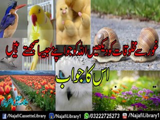 Allah Ko jo Apnay jesa Samajtay Hain Uska Jawab ! Allama Aqeel gharvi