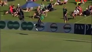 20 Best Catches in Cricket History Amazing Video