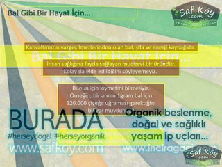 Balın Faydaları Nelerdir? Bal Gibi Bir Hayat İçin...