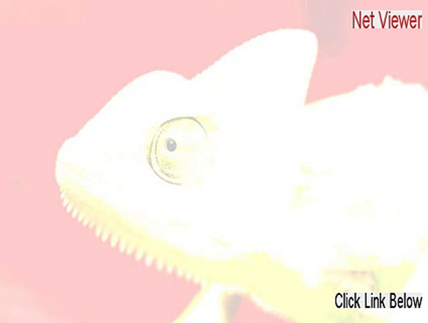 Netviewer