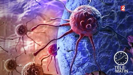 Journée mondiale de lutte contre le cancer : l'accent mis sur la prévention