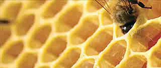 Gdzie szukać pomocy w przypadku kłopotów finansowych?