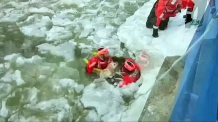 Köpek için film gibi operasyon