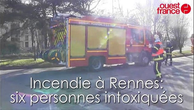 Incendie à Rennes dans un immeuble près des Horizons. Le chien alerte sa maitresse