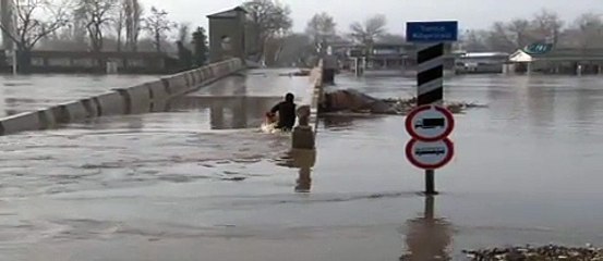 Günlerdir aç kalan köpeklere yem olacaktı
