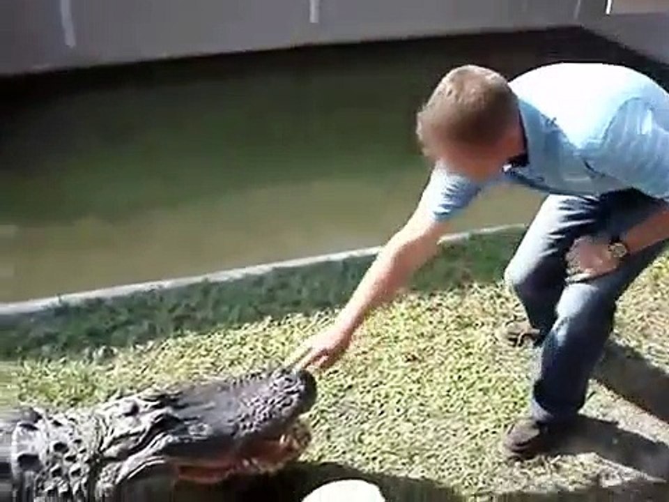 Don't Mess With Me! Video