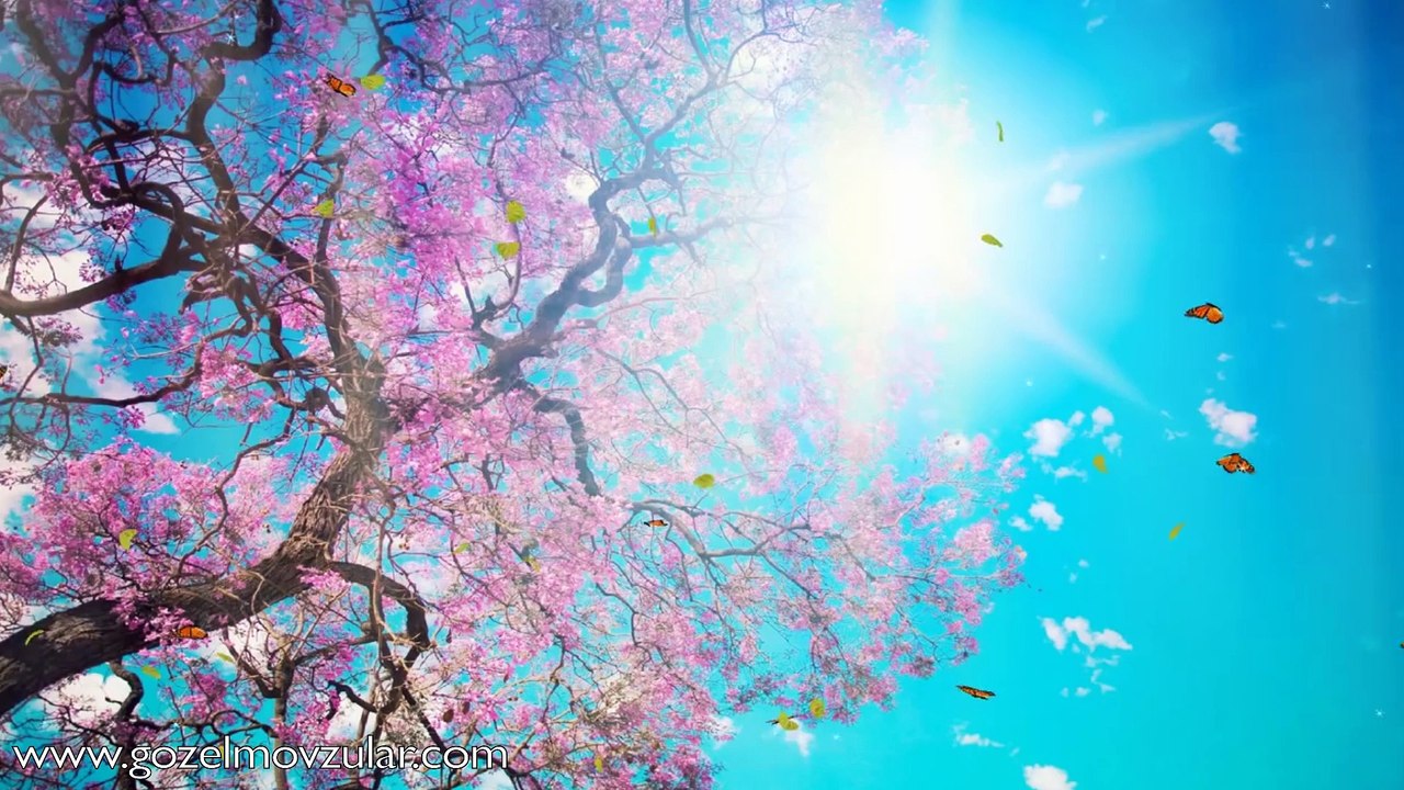 Gözəl mövzular - Möminlər səhv edərlərmi