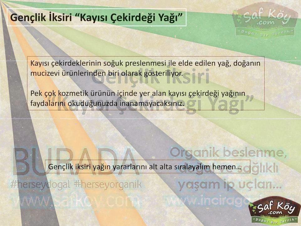 Gençlik İksiri "Kayısı Çekirdeği Yağı"