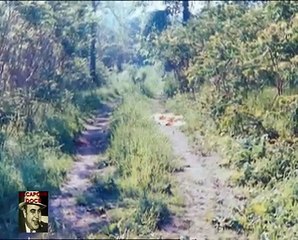 Crimenes Imperfectos 300413.