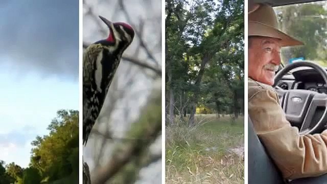 JNF Campground - (361) 550-4603