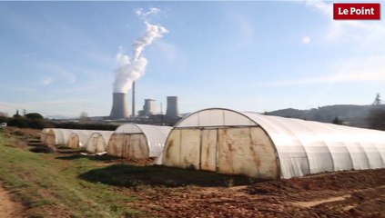 Centrale biomasse de Gardanne : Les menaces pour l'environnement