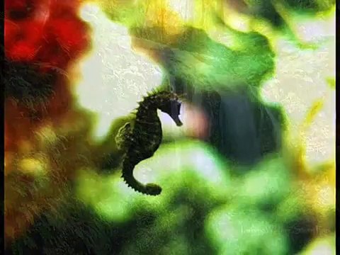 Nasheed - Allahu - As subuhu bada min Qari Waheed Zafar Naat. Allah hu Allah hoo