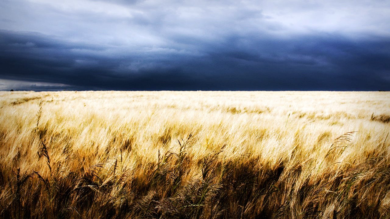 Free Dark Ambient Evil Weird Weed Type Beat || Dark Cypress