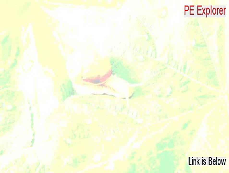 PE Explorer Download [Risk Free Download]