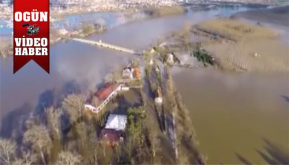 Taşkından kurtardıkları arılar saldırdı