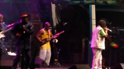 wailing souls (live) rototom 2014