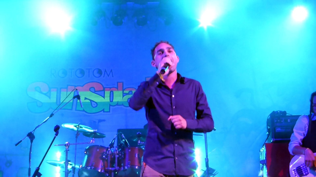 andy mittoo and the eazy skankers on my way (live) rototom 2014