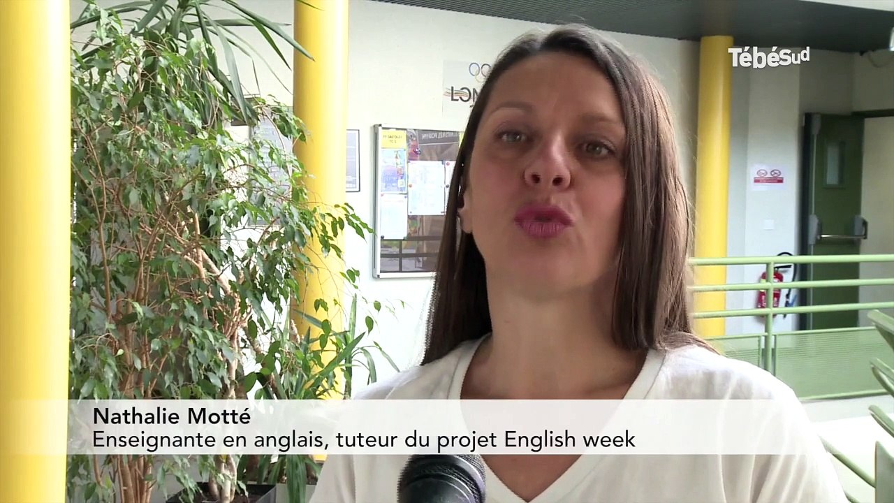 Vannes. L’IUT se met à l’anglais cette semaine