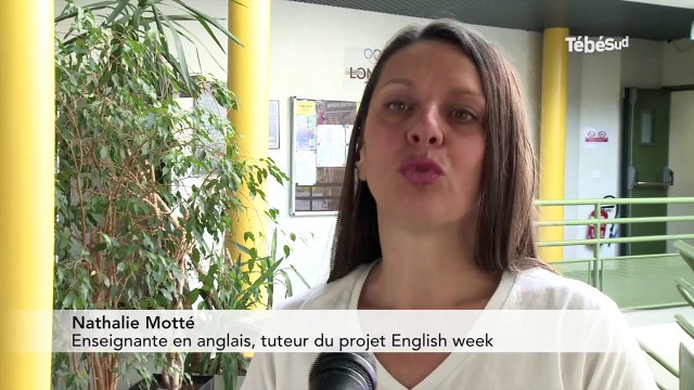 Vannes. L’IUT se met à l’anglais cette semaine