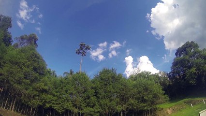 Creative Commons - Caindo de costas na piscina