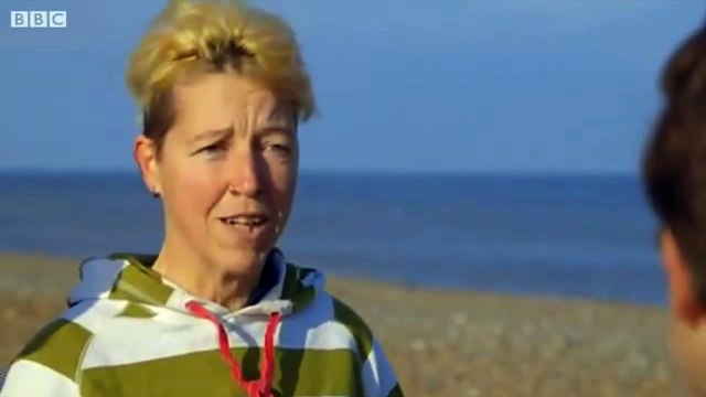 Une forêt engloutie sous la Manche découverte lors d'une plongée scientifique