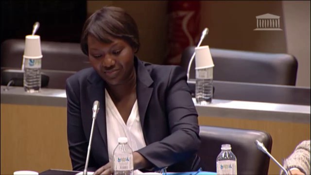 Seybah Dagoma - Mission sur l'avenir des institutions - 30 janvier 2015