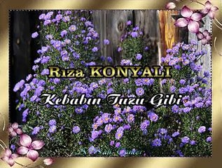 Rıza KONYALI *Kebabın Tuzu Gibi*