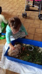 Poupette et Apin partie 1/2