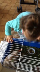 Poupette et Apin partie 2/2