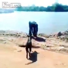 Torturing a dog with karma