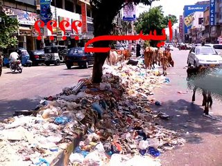 Let's Go Green Pakistan