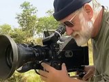 Africa Lions Documentary on the Lions of South Africa's Kruger National Park