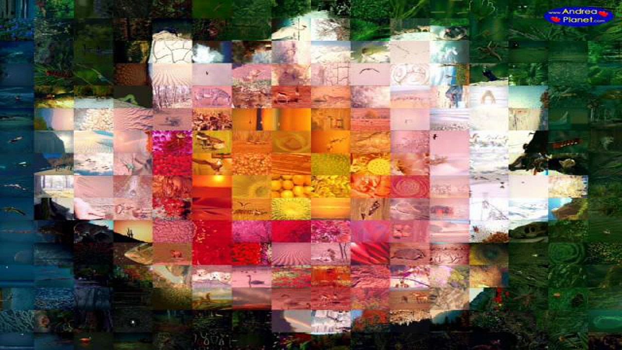 Nik Software - Color Efex - Photo Editing - Photoshop Tutorial