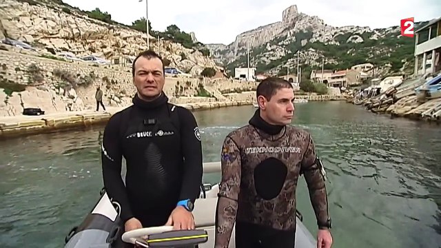 Le poulpe de méditerranée : une espèce menacée