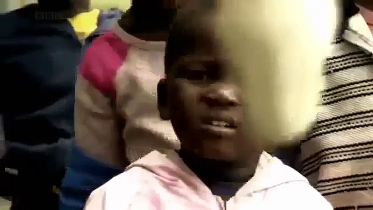 Black Mamba Snakes Africa's Most Dangerous Snake BBC Nature Documentary