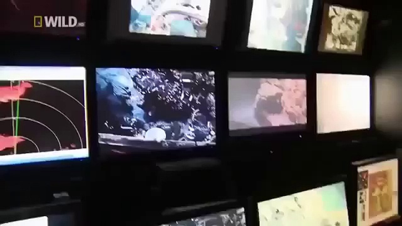 Deep Sea Creatures Ocean Animals Documentary