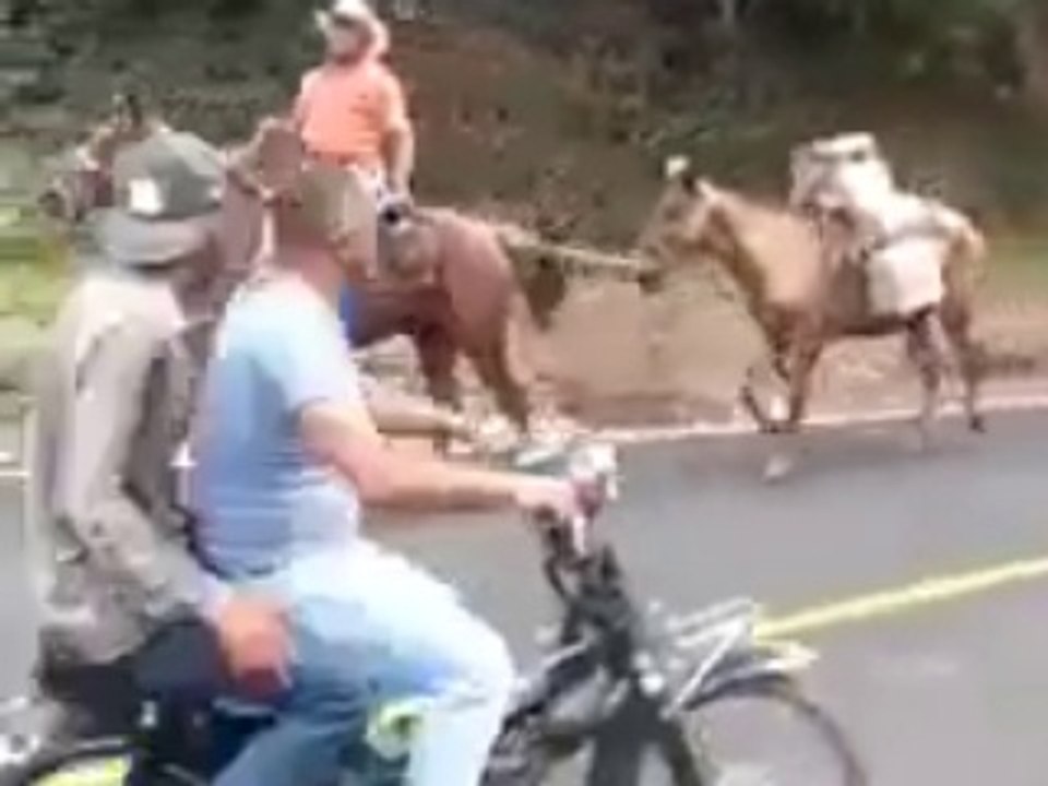 Atlı Parti  Ses düzeni çözümü   :))