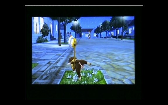 Test vidéo - Nintendogs + Cats: Golden Retriever & ses Nouveaux Amis