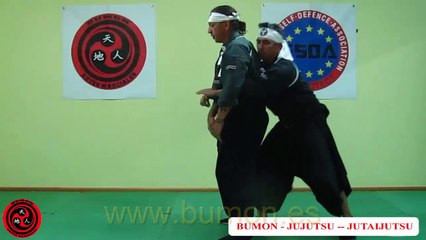 Download Video: Cinturón Negro Jujutsu - Artes Marciales tradicionales