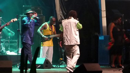 wailing souls (live) rototom 2014
