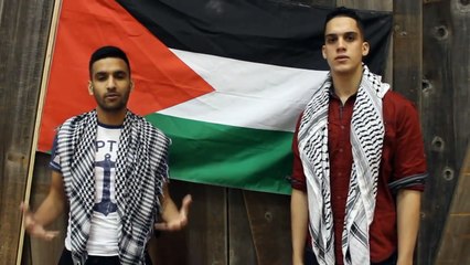 ZaidAliT - HONK FOR PALESTINE!