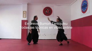 Curso de Artes Marciales - Tantojutsu