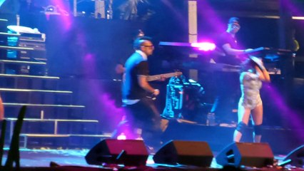 sean paul got to love you (live) rototom 2014