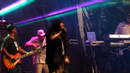 luciano (live) rototom 2014