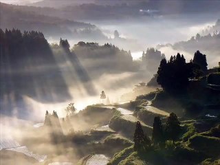 The Best Islamic Lecture -- a REAL STORY -- MOVES YOU TO TEARS